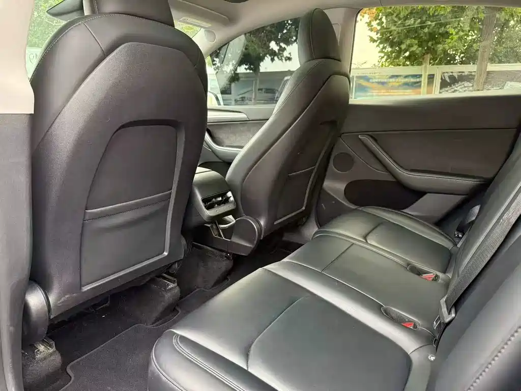 Tesla Model Y — миниатюра 5