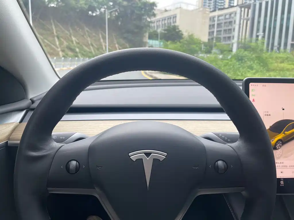 Tesla Model Y — миниатюра 8