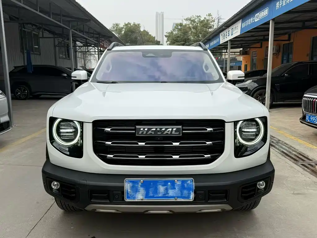 HAVAL BIG DOG