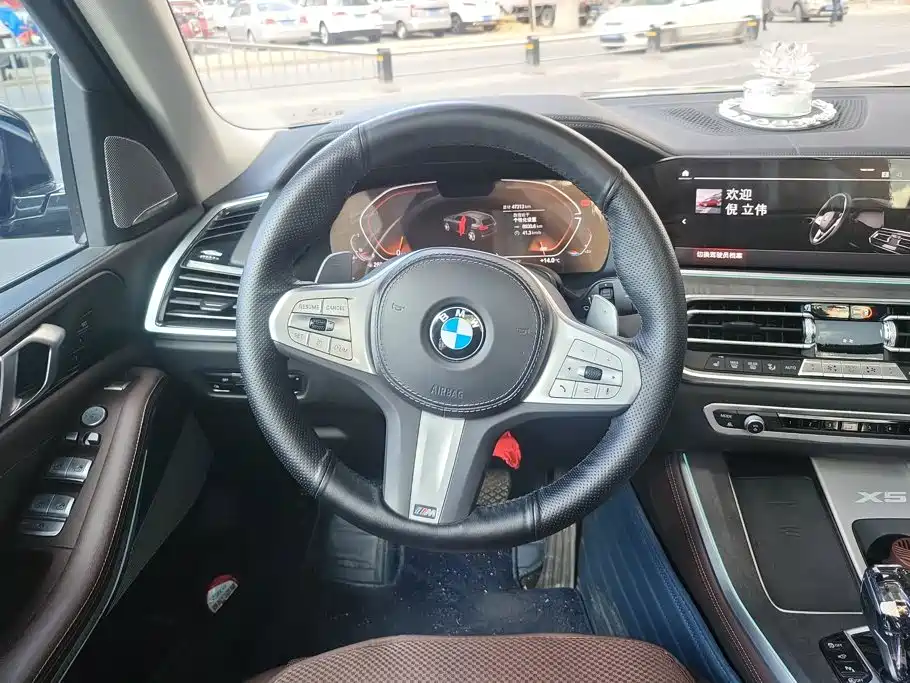BMW X5 — миниатюра 15