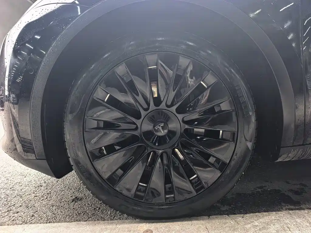 Tesla Model Y — миниатюра 8