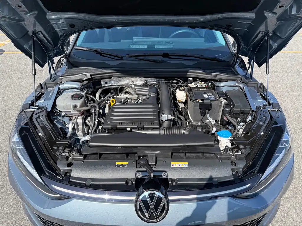 Volkswagen Lamando — миниатюра 26