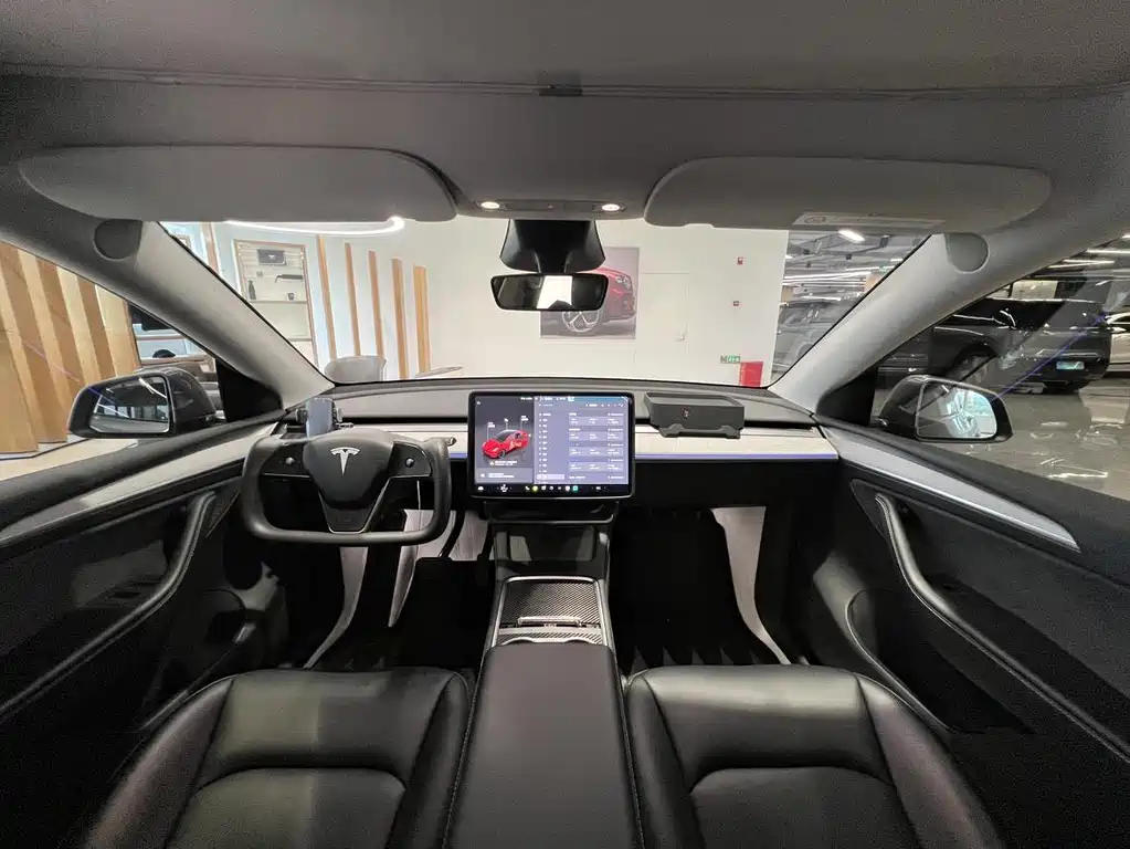 Tesla Model Y — миниатюра 12