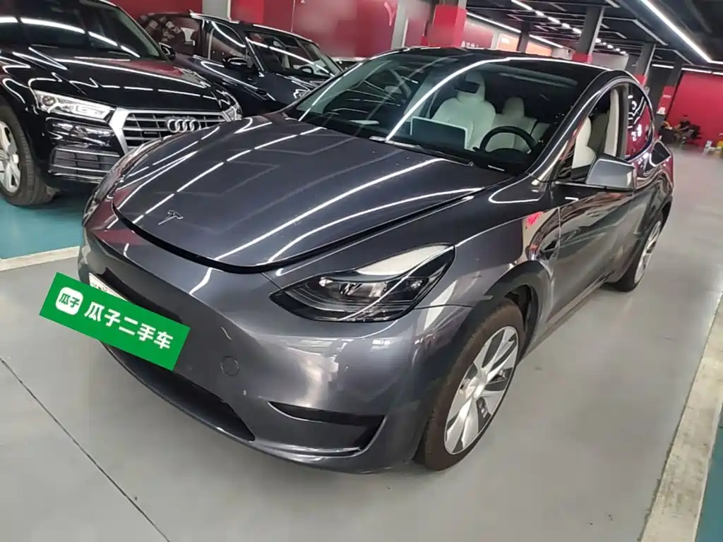 Tesla Model Y — миниатюра 2