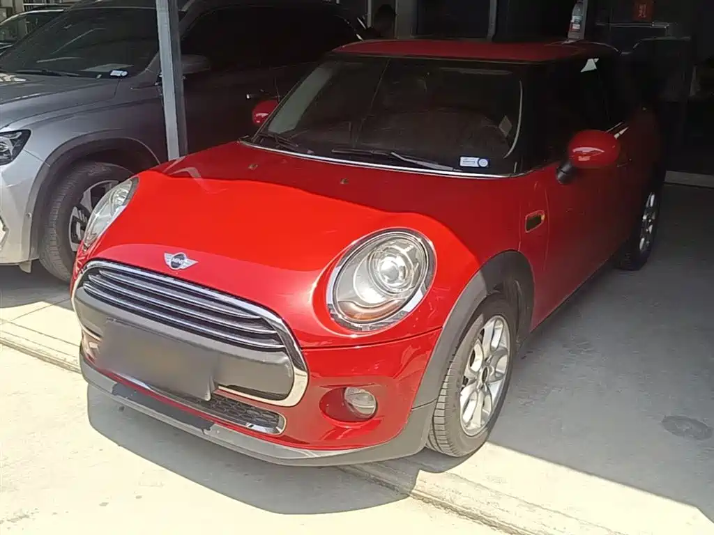Mini Mini 2015
