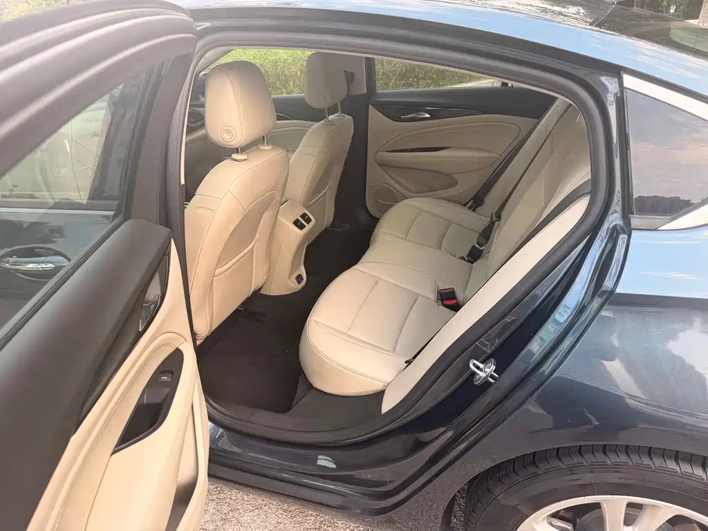 Buick Regal — миниатюра 10