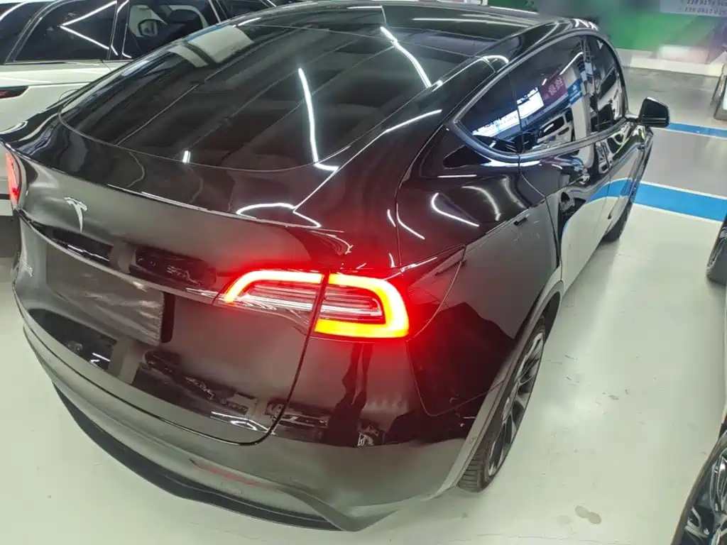 Tesla Model Y — миниатюра 7