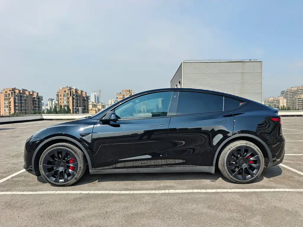 Tesla Model Y — миниатюра 2