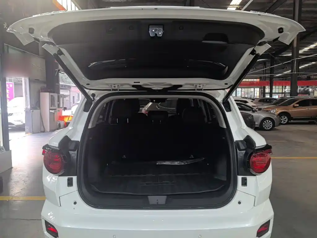 Haval Big Dog PLUS — миниатюра 19