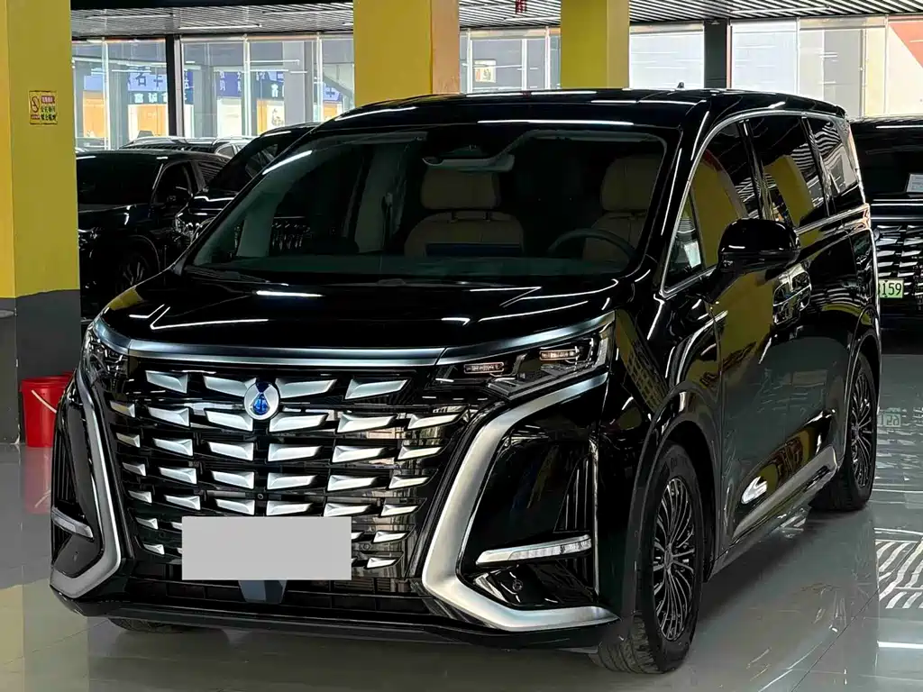 Denza Denza D9