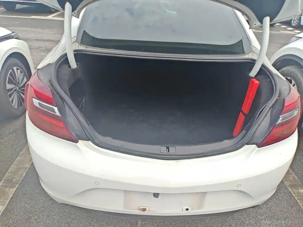 Buick Regal — миниатюра 24
