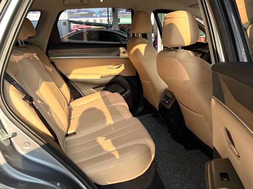 BYD Pro New Energy — миниатюра 7