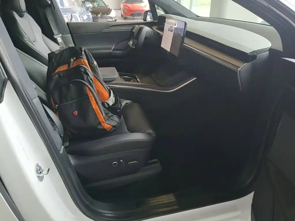 Tesla Model X — фотографии объявления, Фото 25