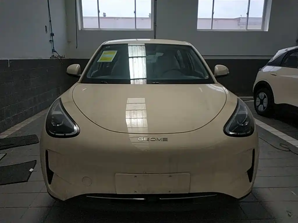 Geely Geome Xingyuan 2026 310km