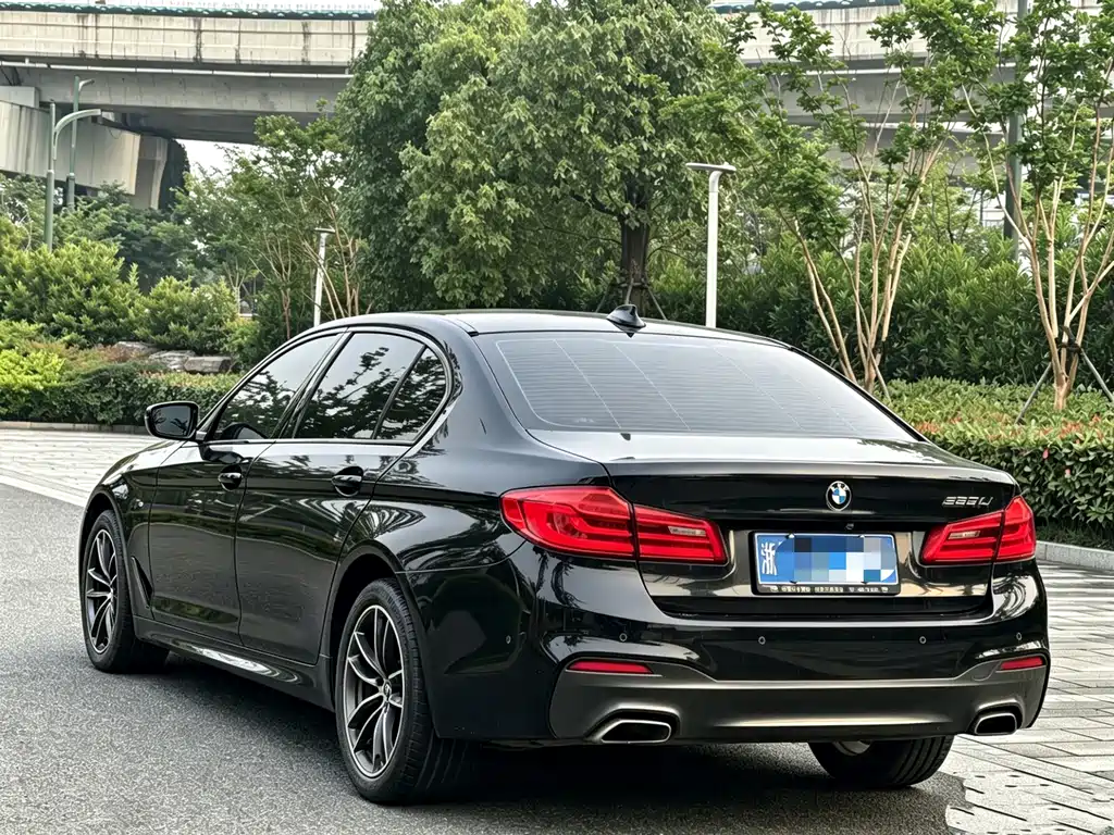 BMW 5 Series 5 2019 525Li M Sport