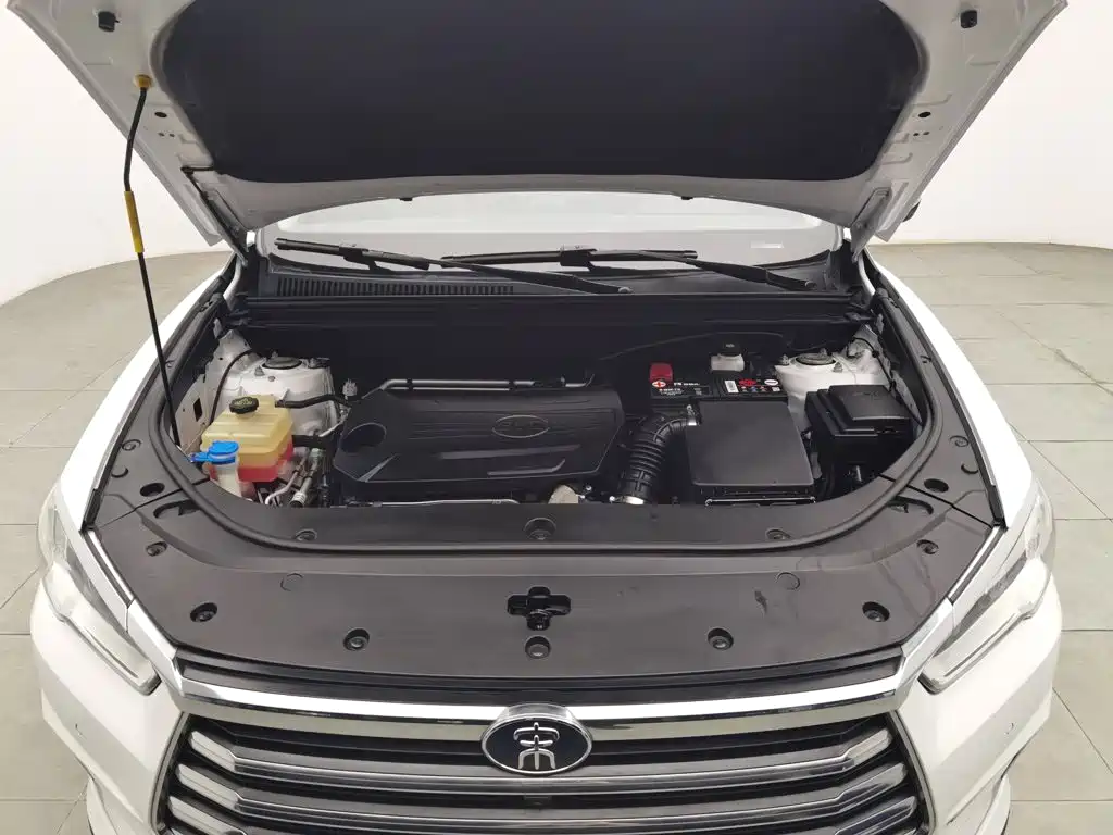 BYD Pro — миниатюра 6