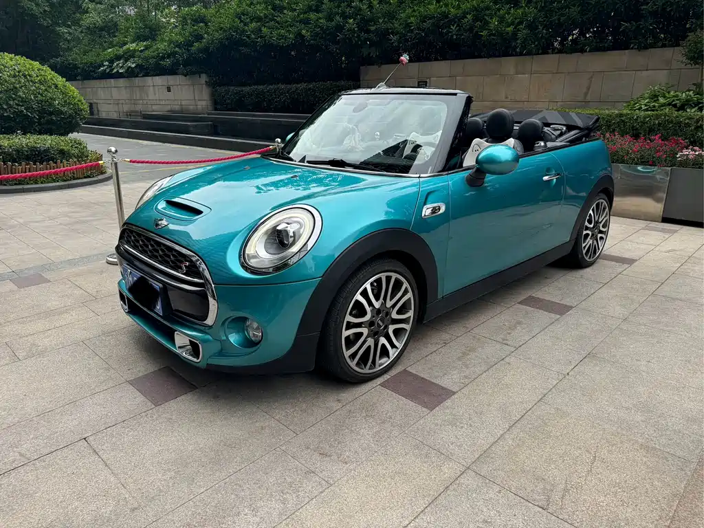 Mini Mini 2017