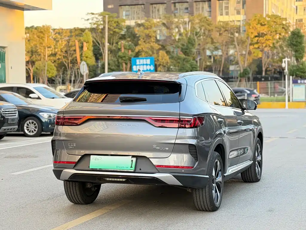 BYD PLUS New Energy - фото 6