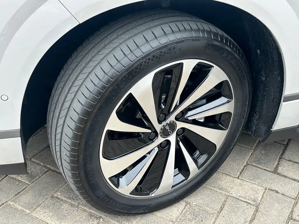 BYD SEA LION 06 NEW ENERGY