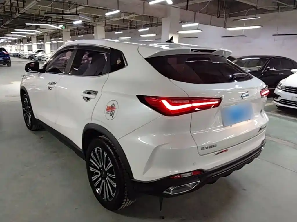 Oshan Oushang X5 — миниатюра 5