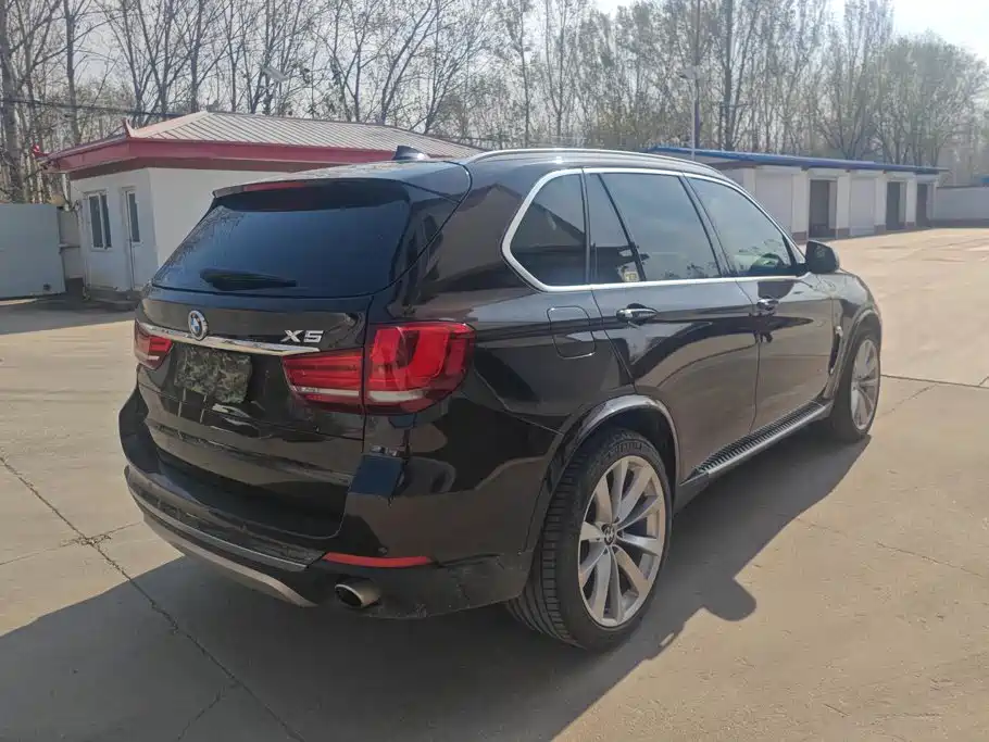 BMW X5 (Import) — миниатюра 3