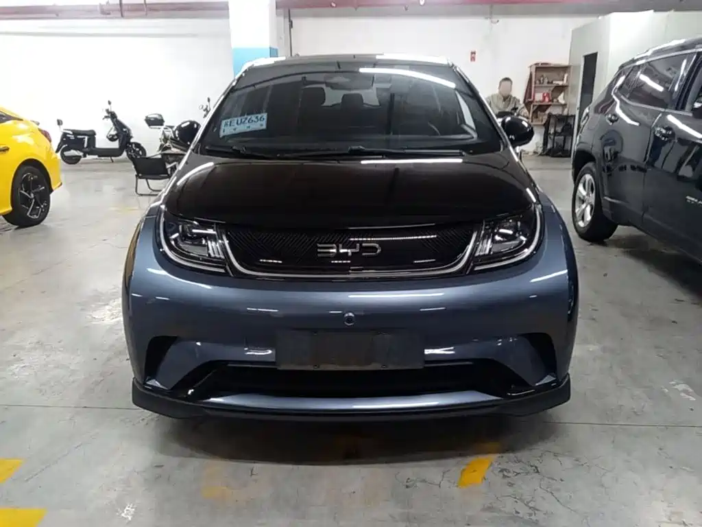 BYD Dolphin — миниатюра 3