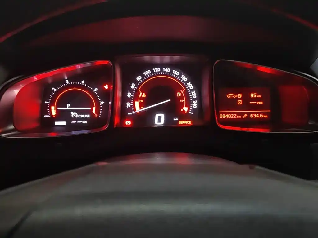DS DS 5LS — миниатюра 12