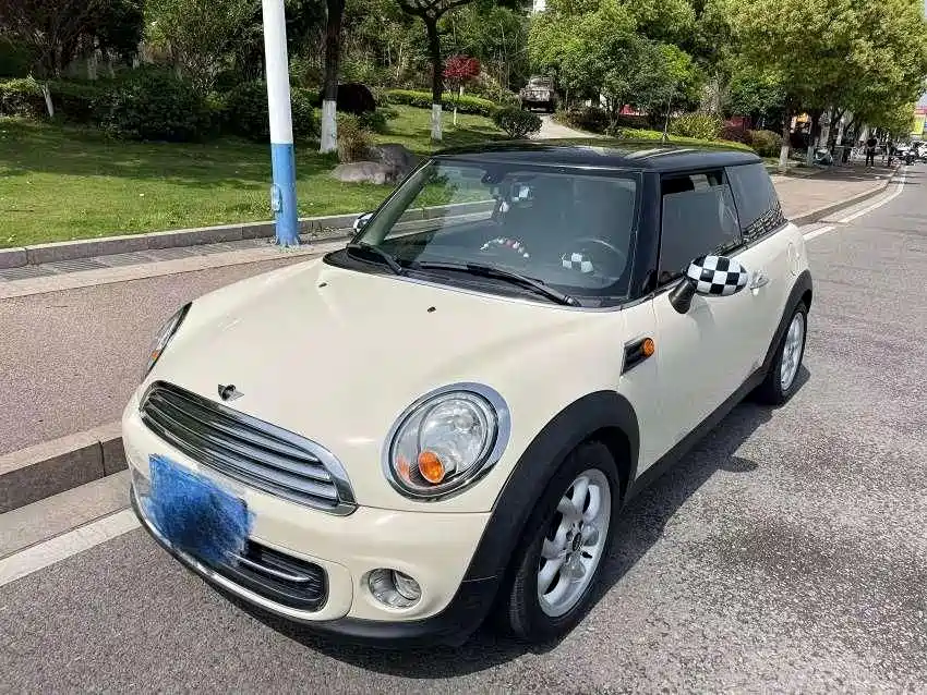 Mini Mini 2013