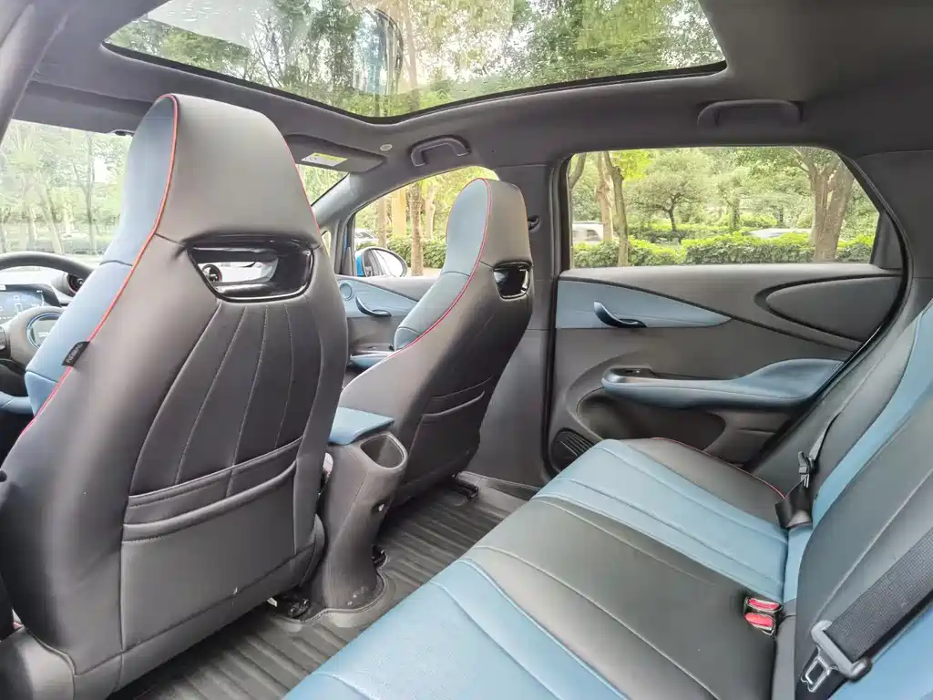 BYD Dolphin 2021 405km Fashion