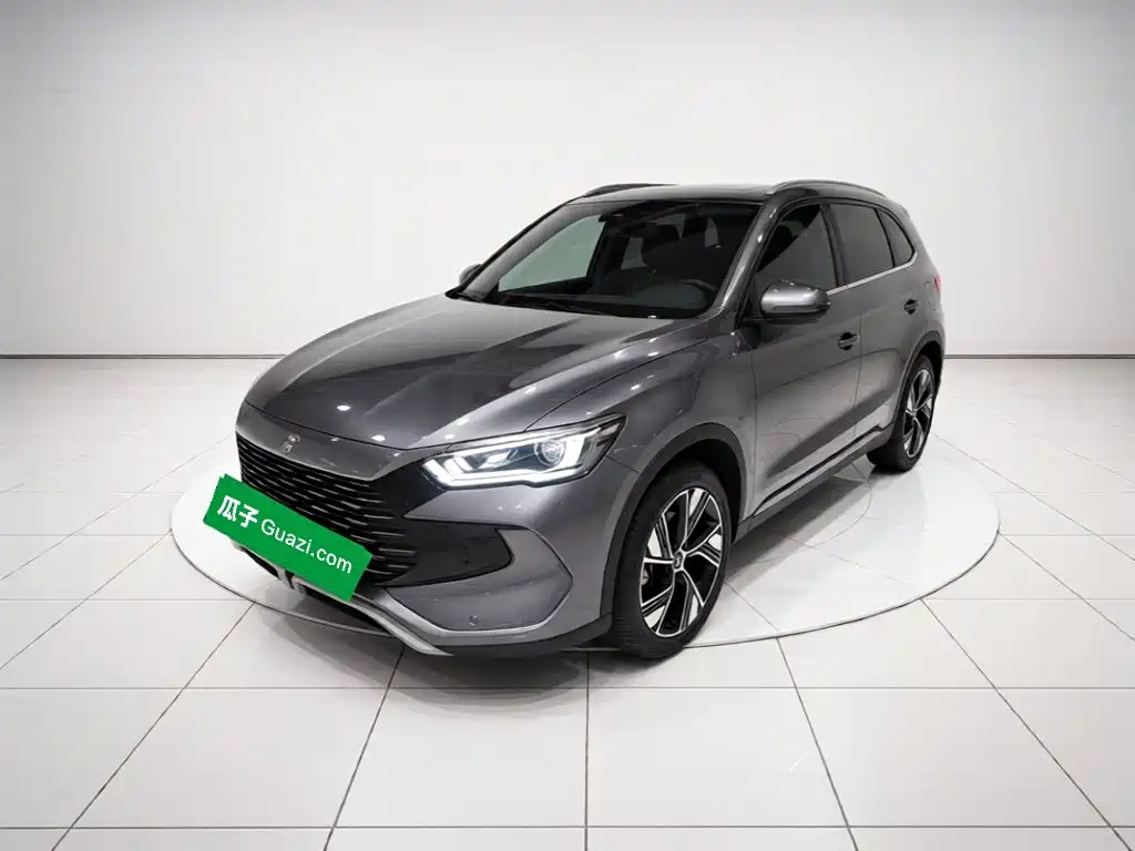 BYD Pro New Energy