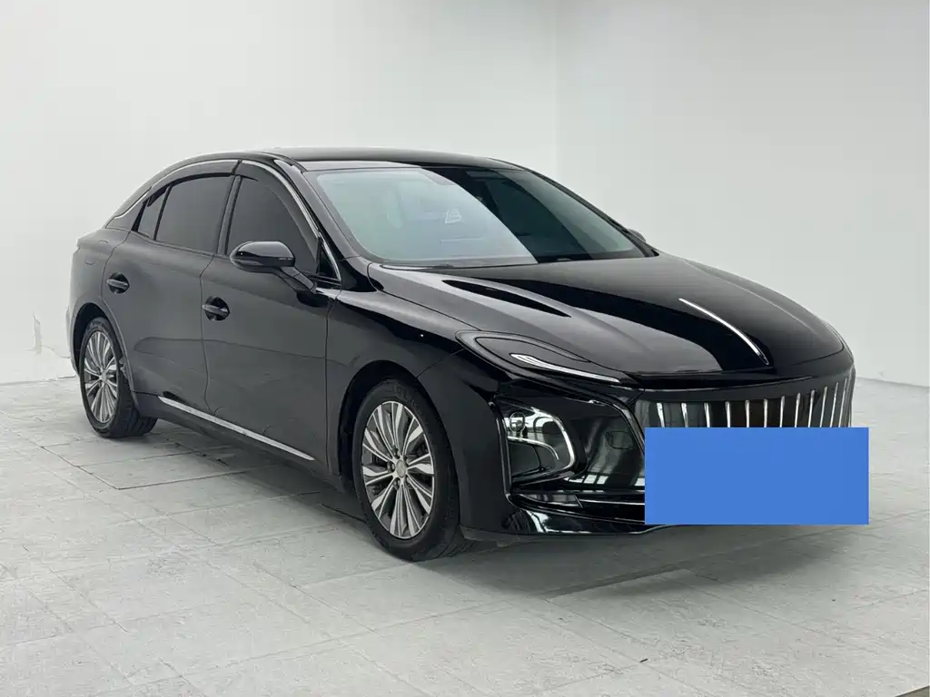 Hongqi Hongqi E-QM5 — миниатюра 2