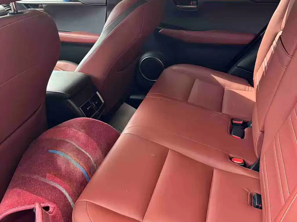Lexus NX — миниатюра 6