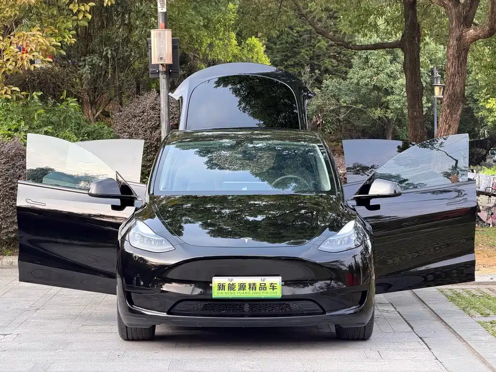 Tesla Model Y — фотографии объявления, Фото 21