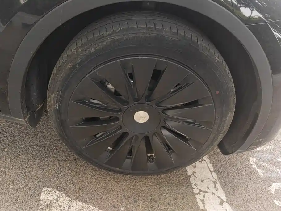 Tesla Model Y — миниатюра 6