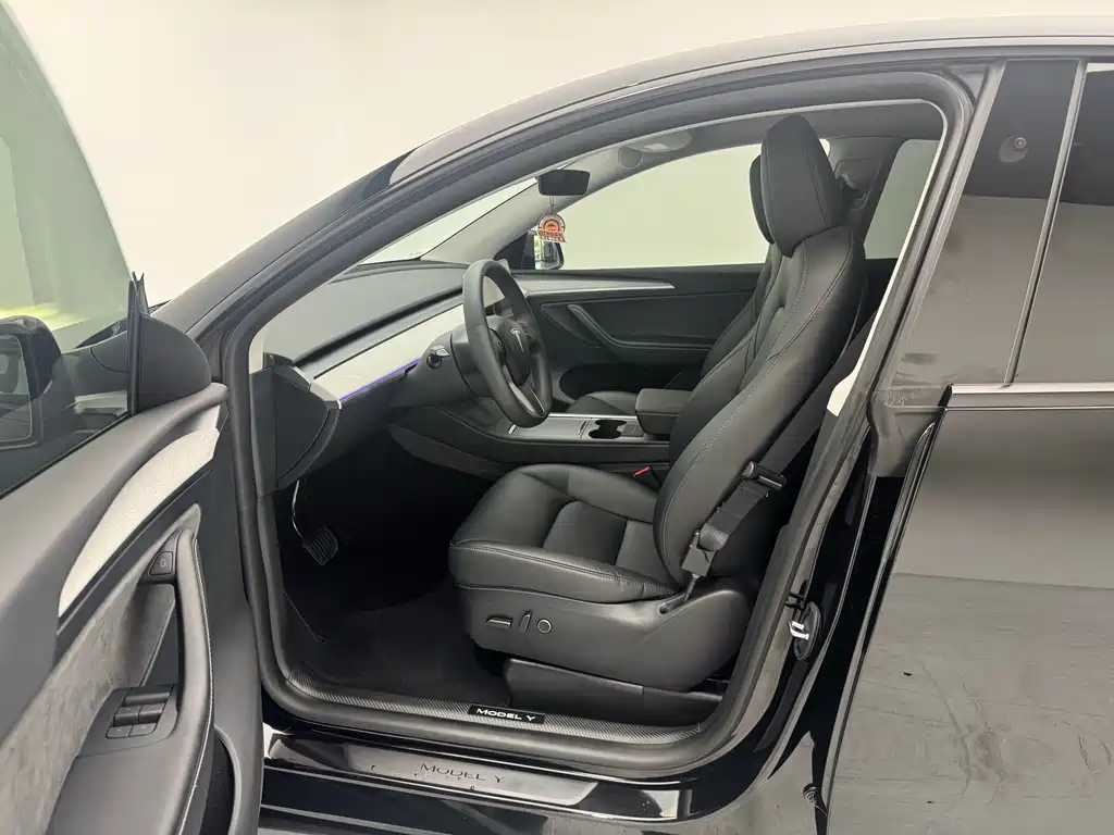 Tesla Model Y — миниатюра 5