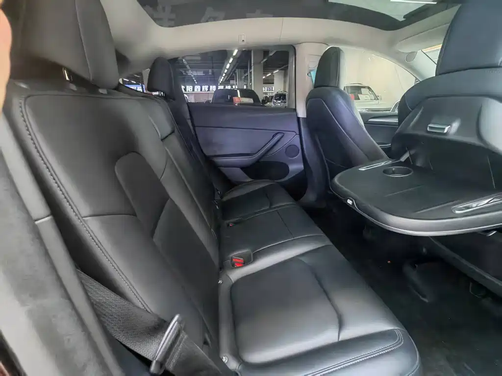 Tesla Model Y — миниатюра 15
