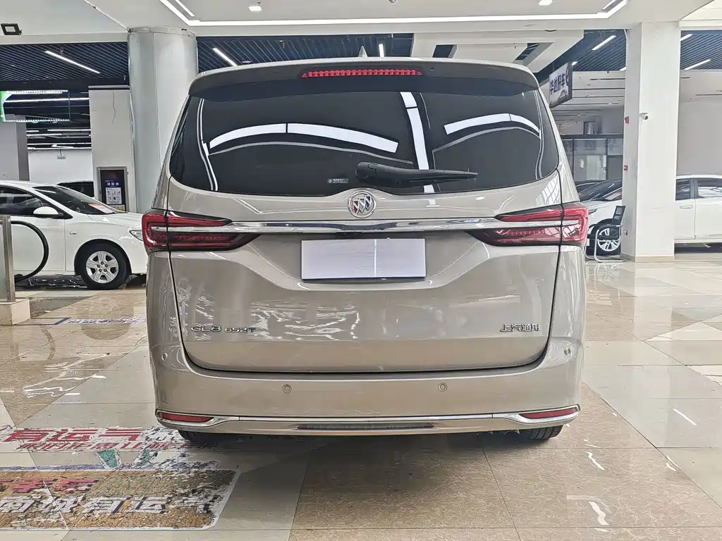 Buick GL8 — миниатюра 5