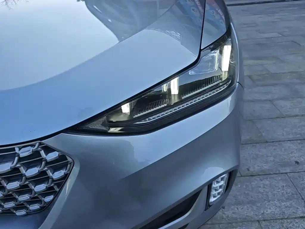 Wey Wey VV6 — миниатюра 24