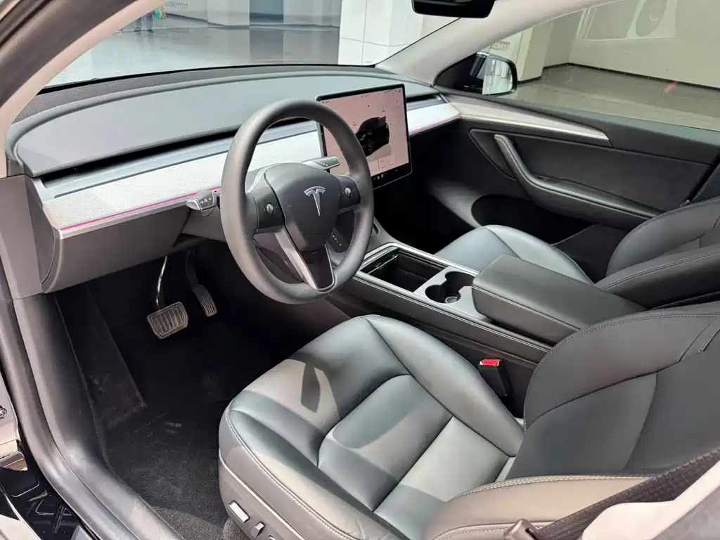 Tesla Model Y — миниатюра 11