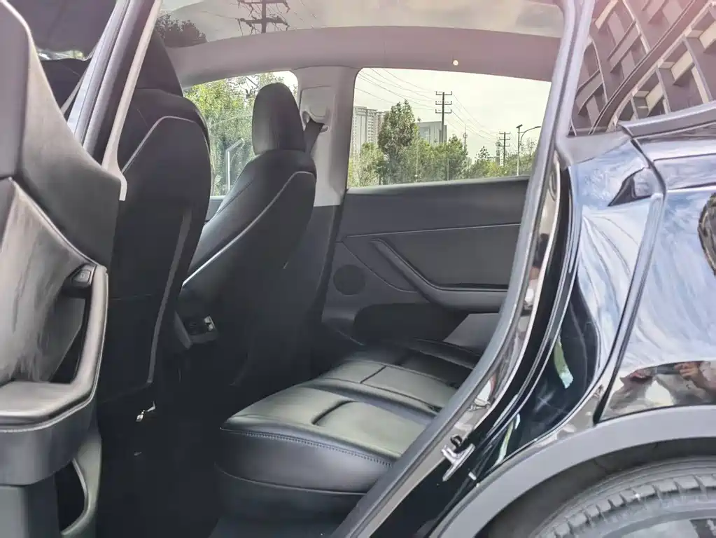 Tesla Model Y — миниатюра 6