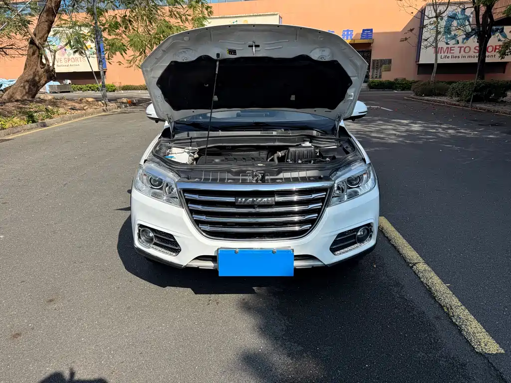 HAVAL H6