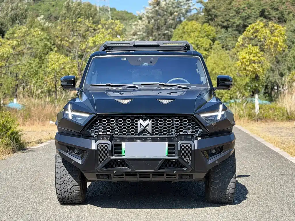 Mengshi Mengshi 917 — миниатюра 2