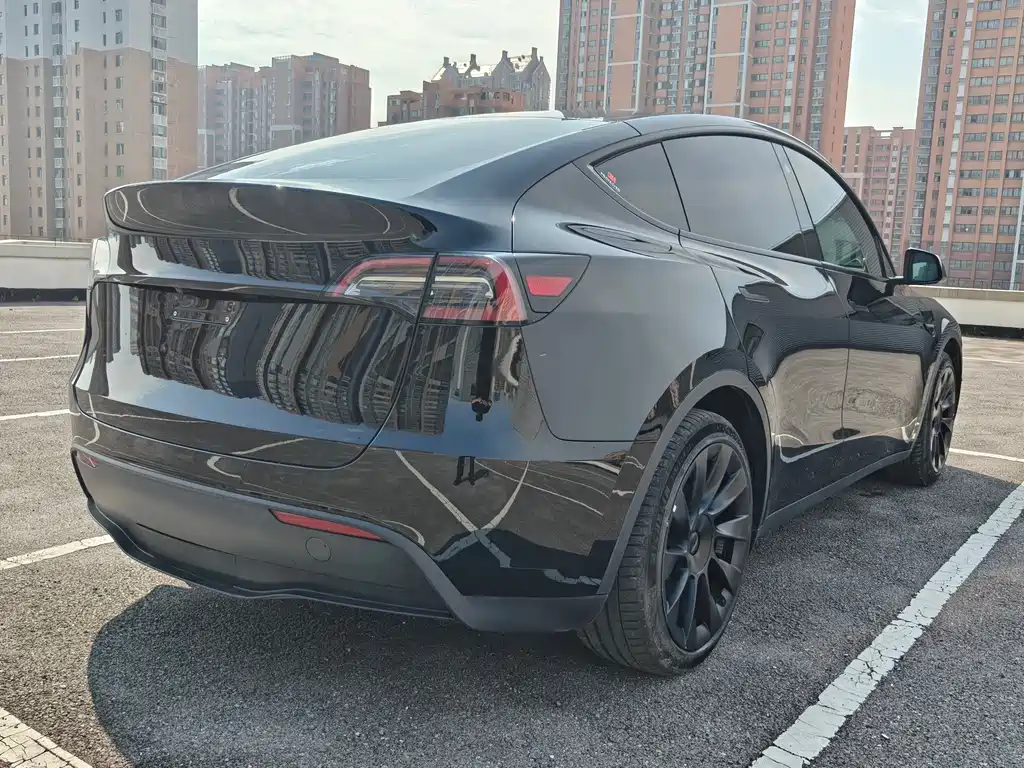 Tesla Model Y — миниатюра 7