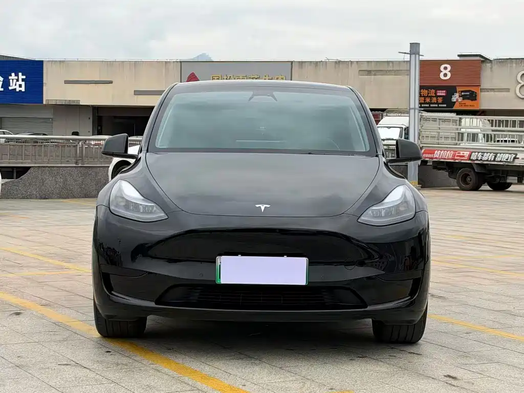 Tesla Model Y — миниатюра 6