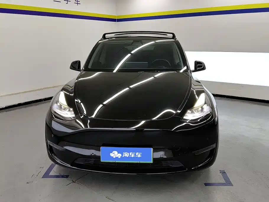 Tesla Model Y — миниатюра 2