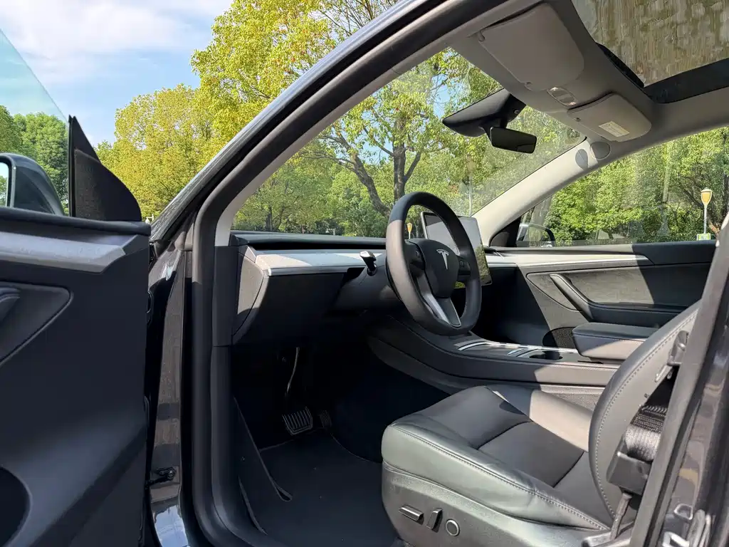 Tesla Model Y — миниатюра 8