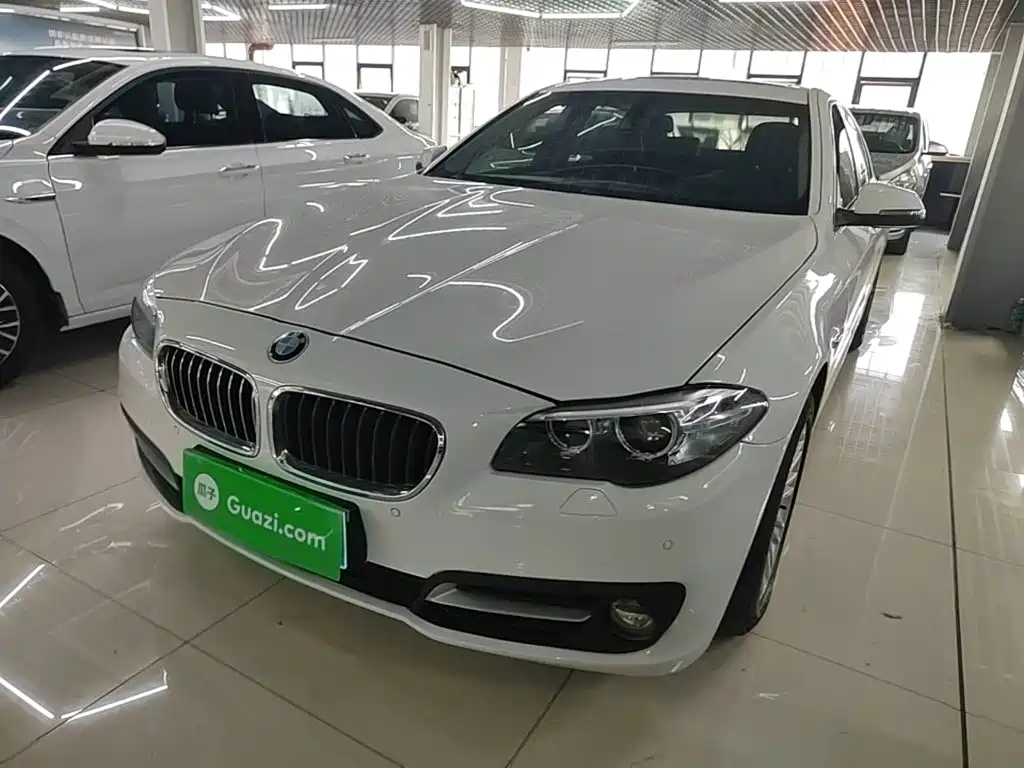 BMW 5 Series — миниатюра 2