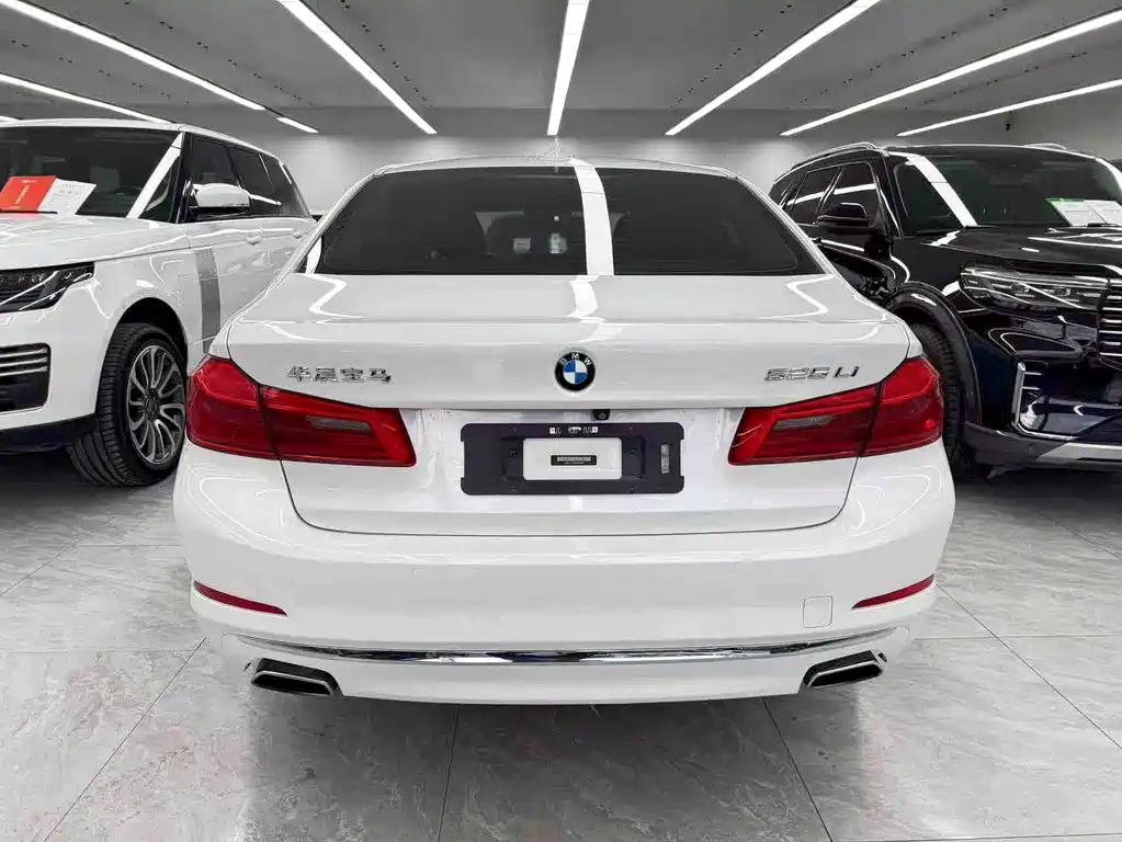 BMW 5 Series — миниатюра 5
