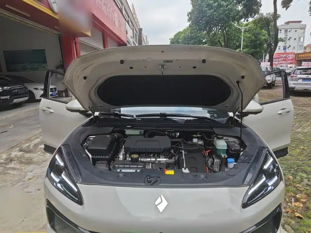 Baojun Yunhai — миниатюра 20