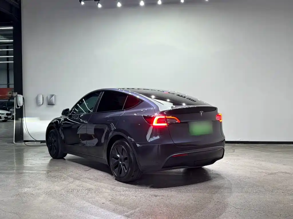 Tesla Model Y — миниатюра 8